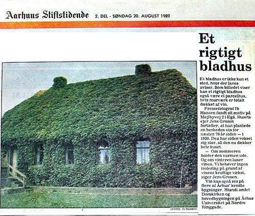 Bladhus - 1989