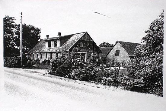 Rishøjgård, gartneri på Mejlbyvej(idag Farmshop) - Foto fra 1971